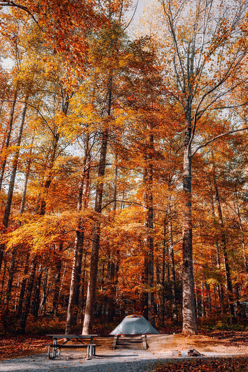 Under Canvas Great Smoky Mountains glamping tent