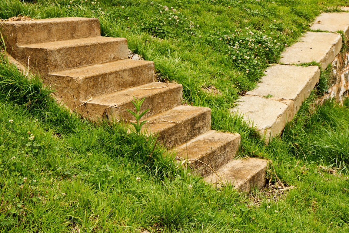 garden stepping stone path