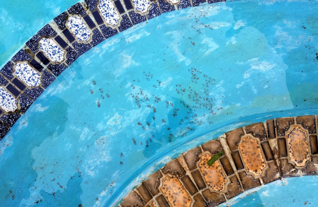 Swimming Pool Repair: Diagnose Problems Before They Get Expensive