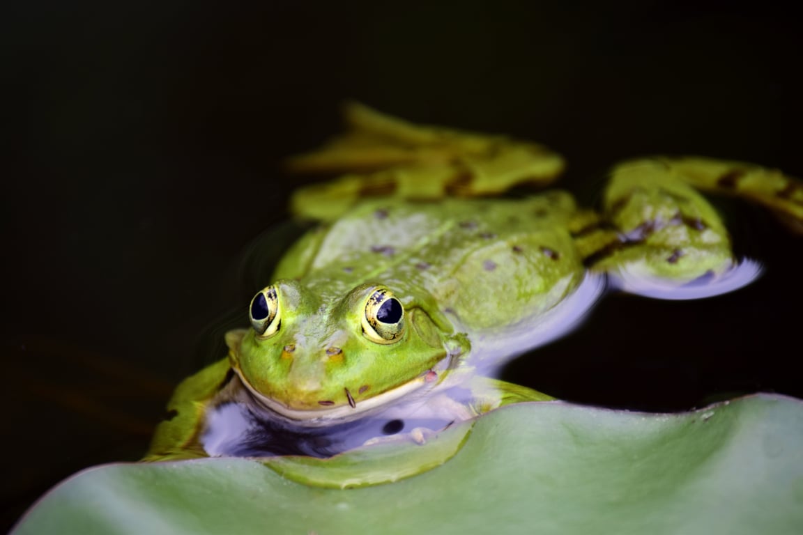 assisted living community