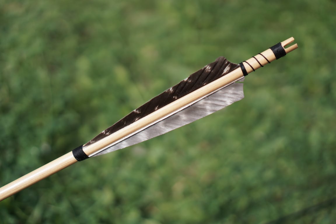 archery bow at full draw