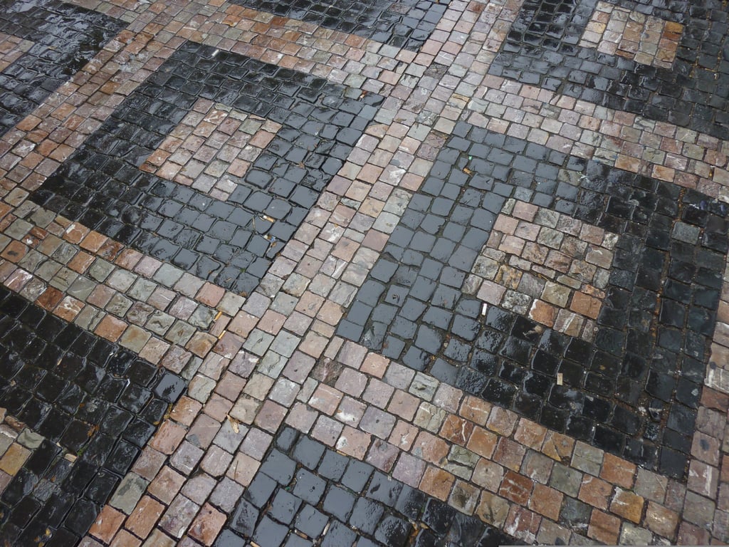 weeds growing between patio pavers