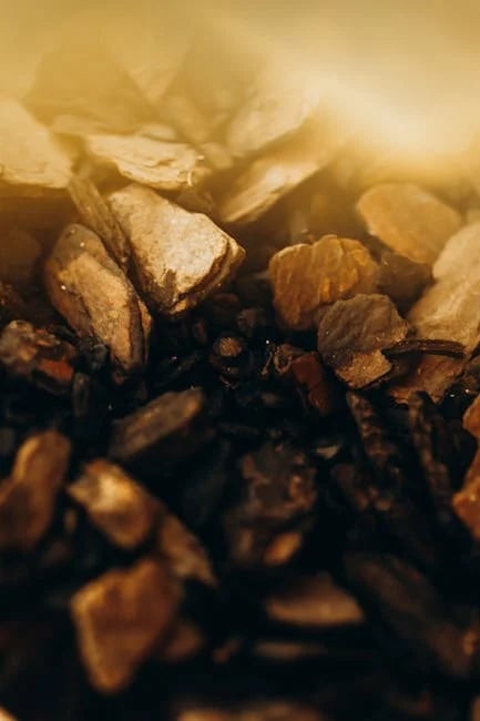 Image describing 2025s Best Foundation Scholarships Guaranteed Success!