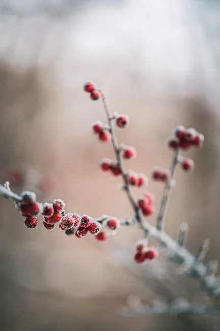 Image describing How Clarity Will Transform Your Life in 2025!