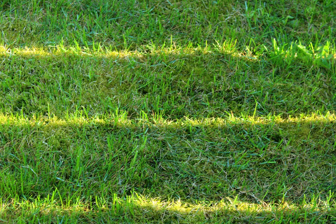 lawn soil testing