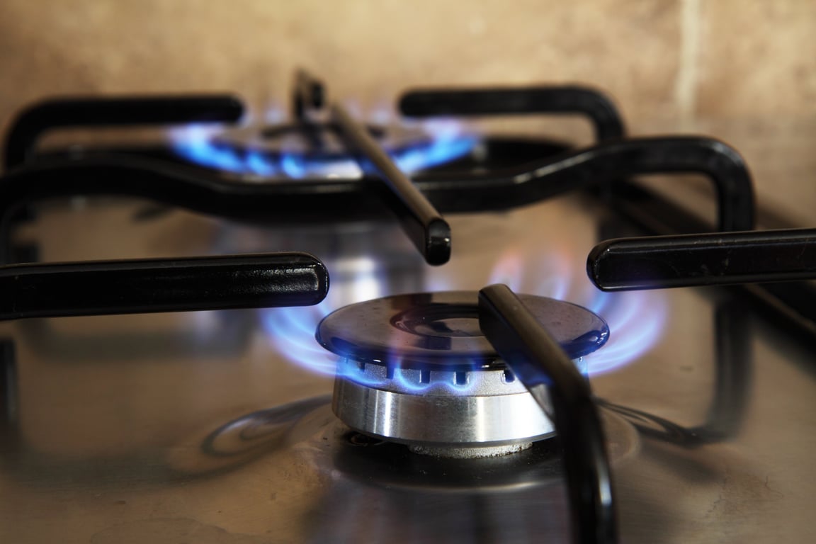 Coleman two burner camp stove