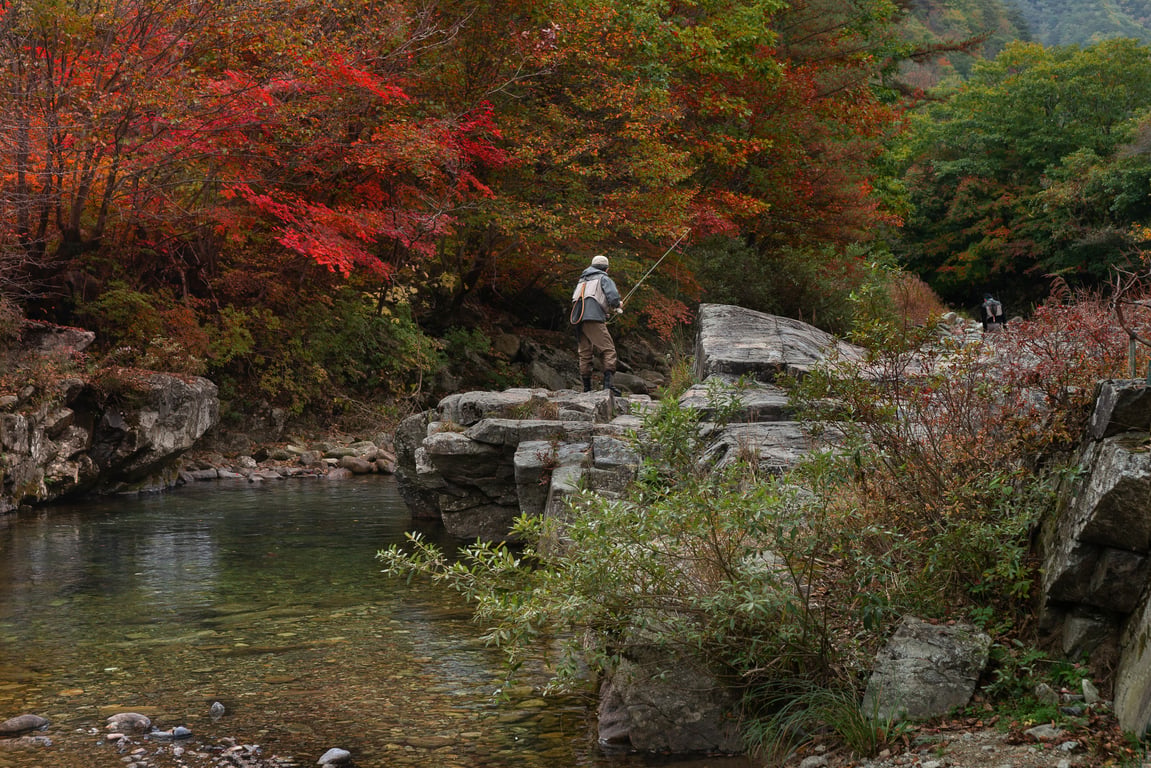 trout fishing stream