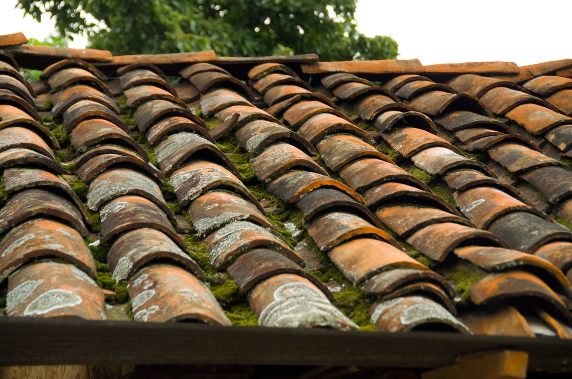 residential roof shingles