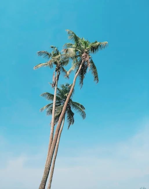 Image describing Best Free Invoice Template Download 2026 Fast & Simple?