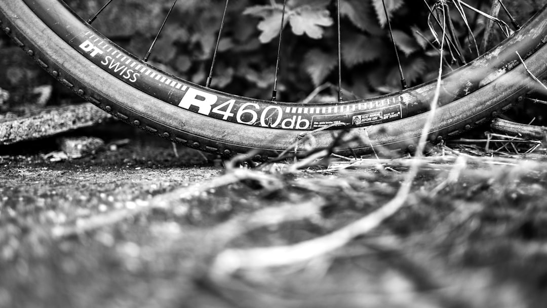 Tire Size Comparison Chart: Compare Diameter, Width and Fitment Before You Buy