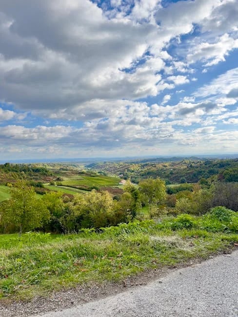 Image describing Unlock Disney Dreamlight Valley Top Switch Tips Now!