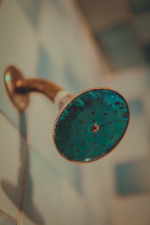 showerhead mineral buildup