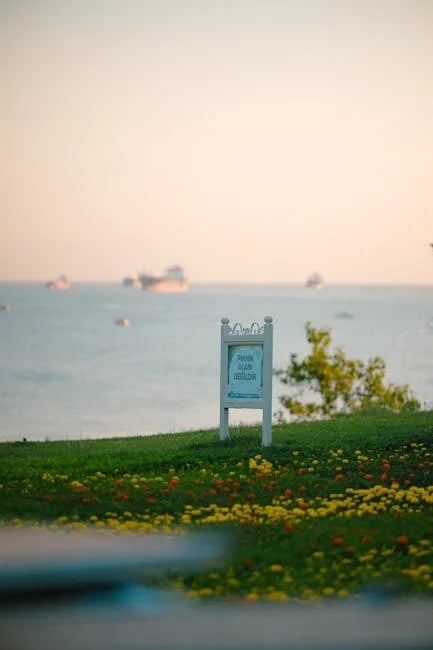 Image describing Top 10 Best Summer Programs Abroad in 2025!