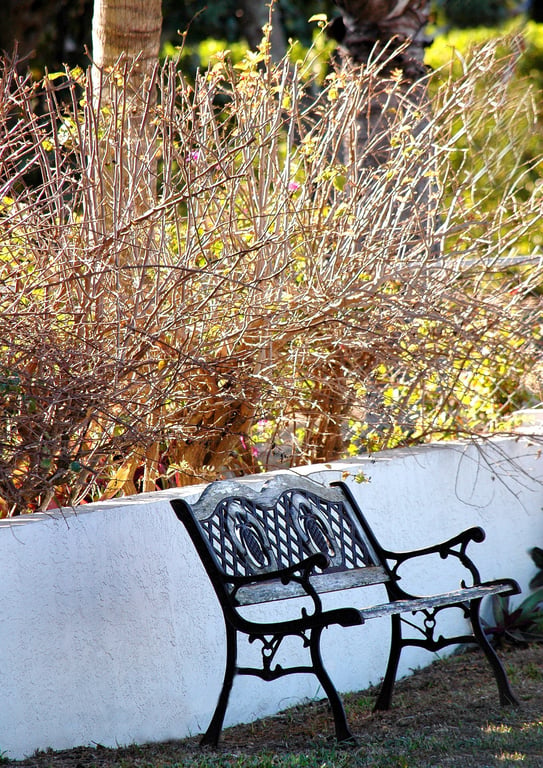 backyard patio landscaping