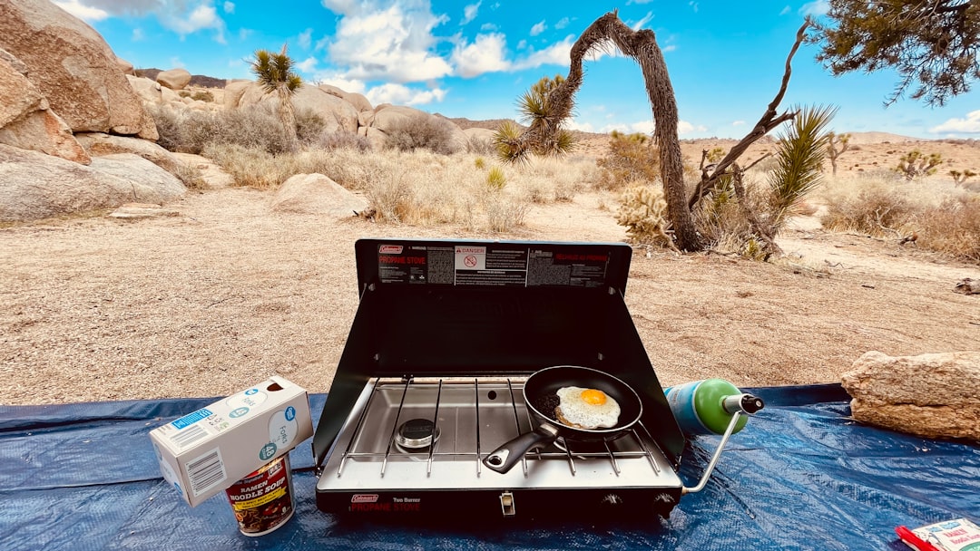 Best Camp Stove for Backpacking: Choose by Weight, Fuel, and Cooking Style