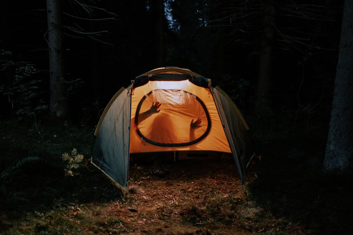 Bear Safety Camping: Smart Habits for a Safer Campsite