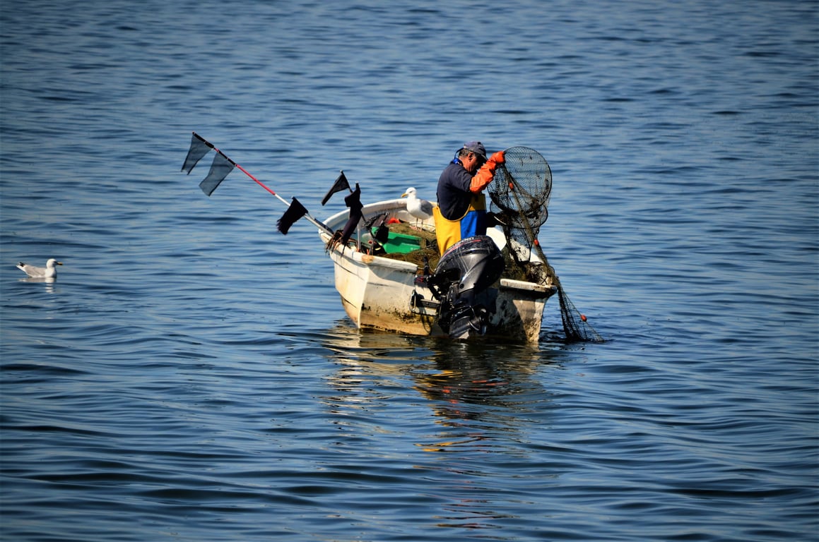 Mercury outboard motor