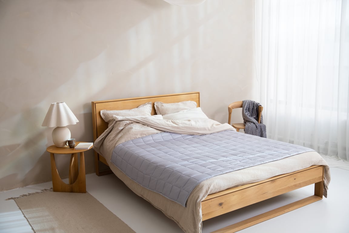 bed bug mattress inspection