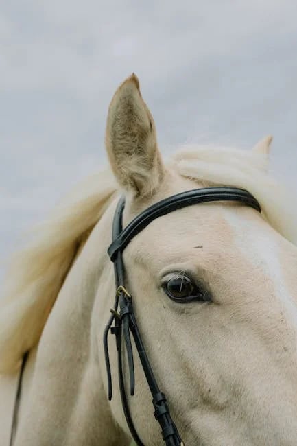 Image describing Top 7 Guaranteed Full Ride Veterinary Scholarships 2025