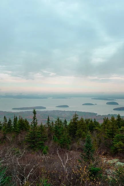 Image describing Discover the Top 7 Mountain View Townhomes of 2025!