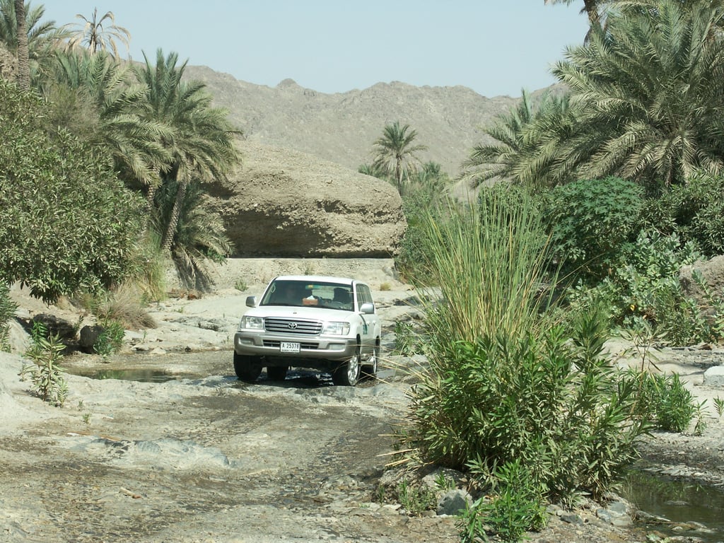Toyota all-terrain tires