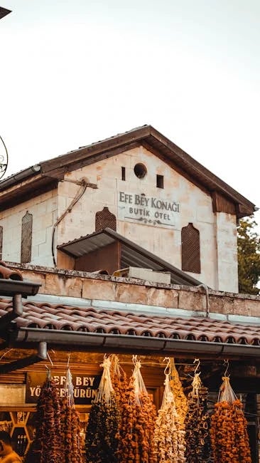 Image describing Best Beis Carry On in 2026? Top 7 Proven Picks Now