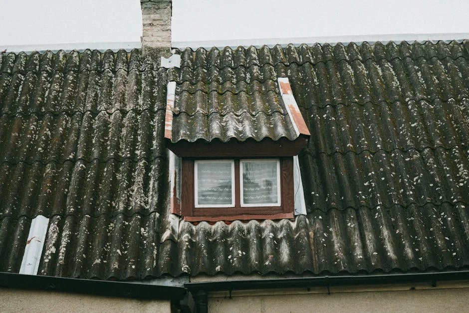 Image describing How to Get a Proven Asbestos Survey Fast in 2026?