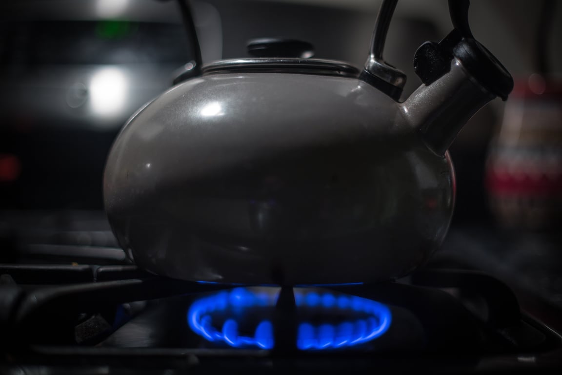 Coleman Classic 2 Burner Stove