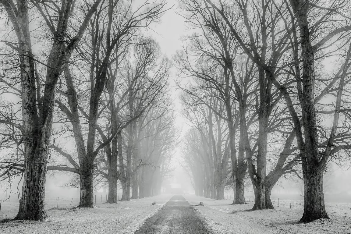 winter tires on snowy road