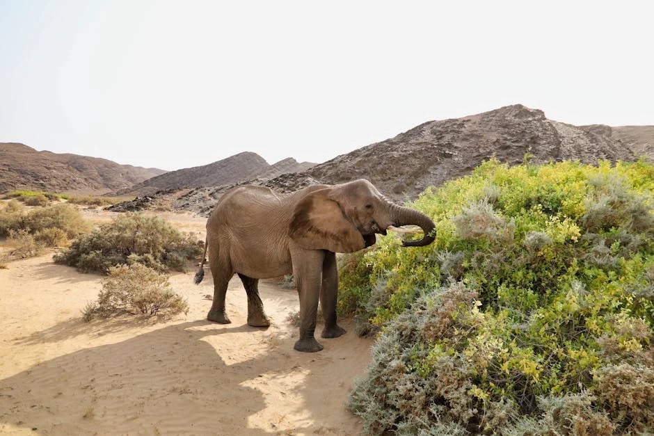 Image describing Discover the Best Free HELOC Calculator of 2025 Now!