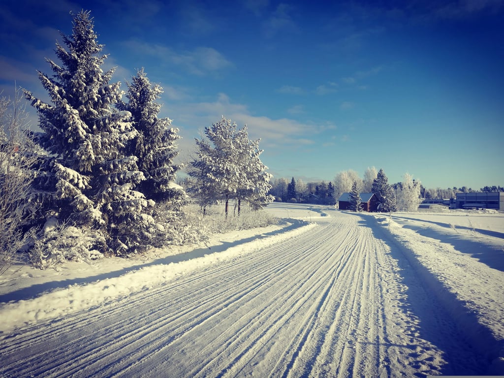 winter tires snowy road