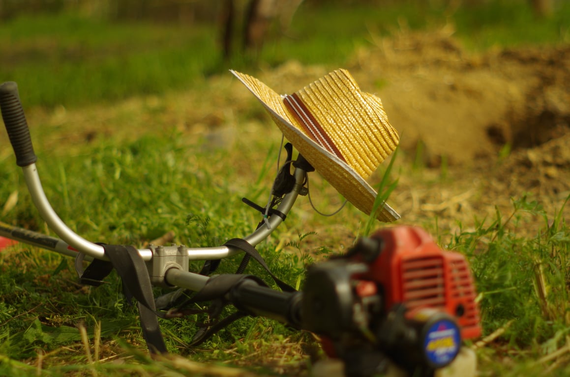 lawn mowing service