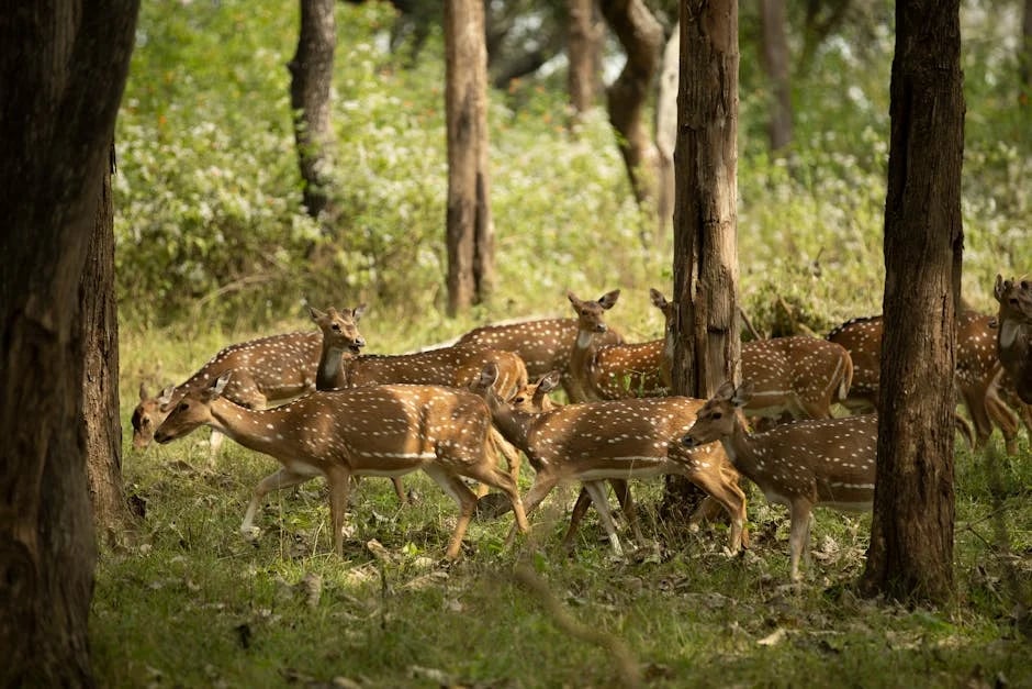 Image describing How to Use Axie Marketplace in 2026 7 Proven Tips Fast