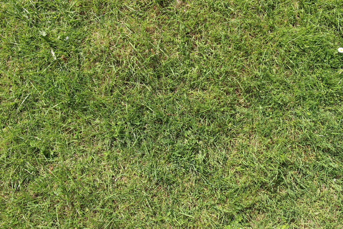 lawn mowing service