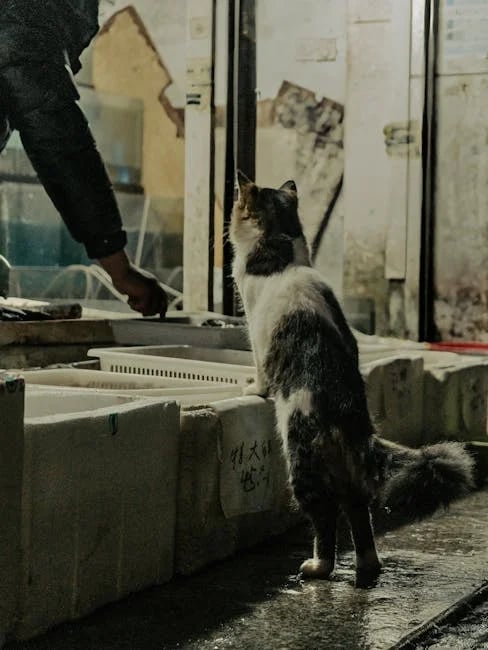 Image describing Discover the Best Free NFT Marketplace Options Now