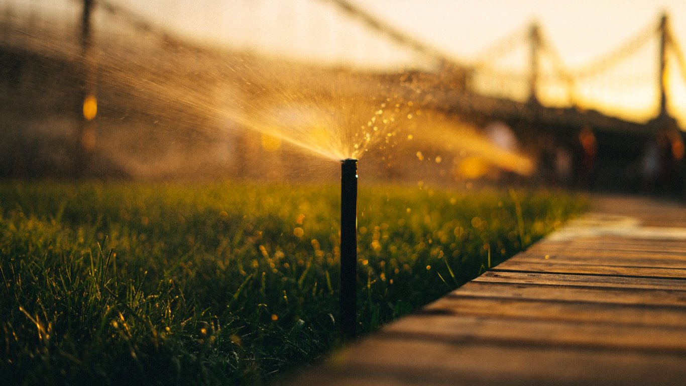 Lawn Care Maintenance: A Practical Plan for a Healthier Yard