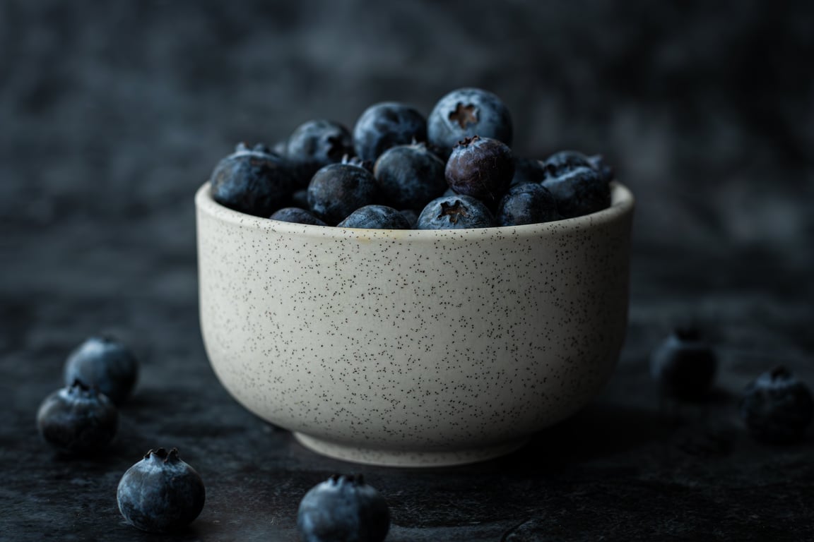 fresh dog food bowl