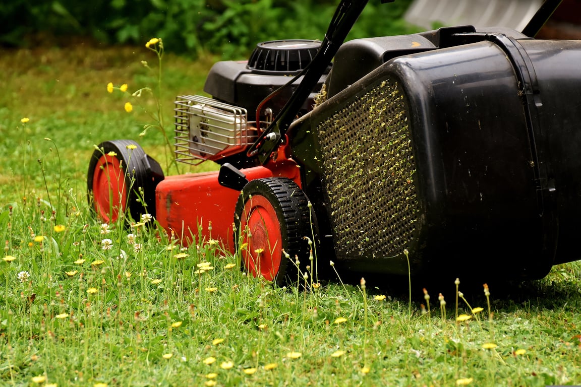 lawn mowing service