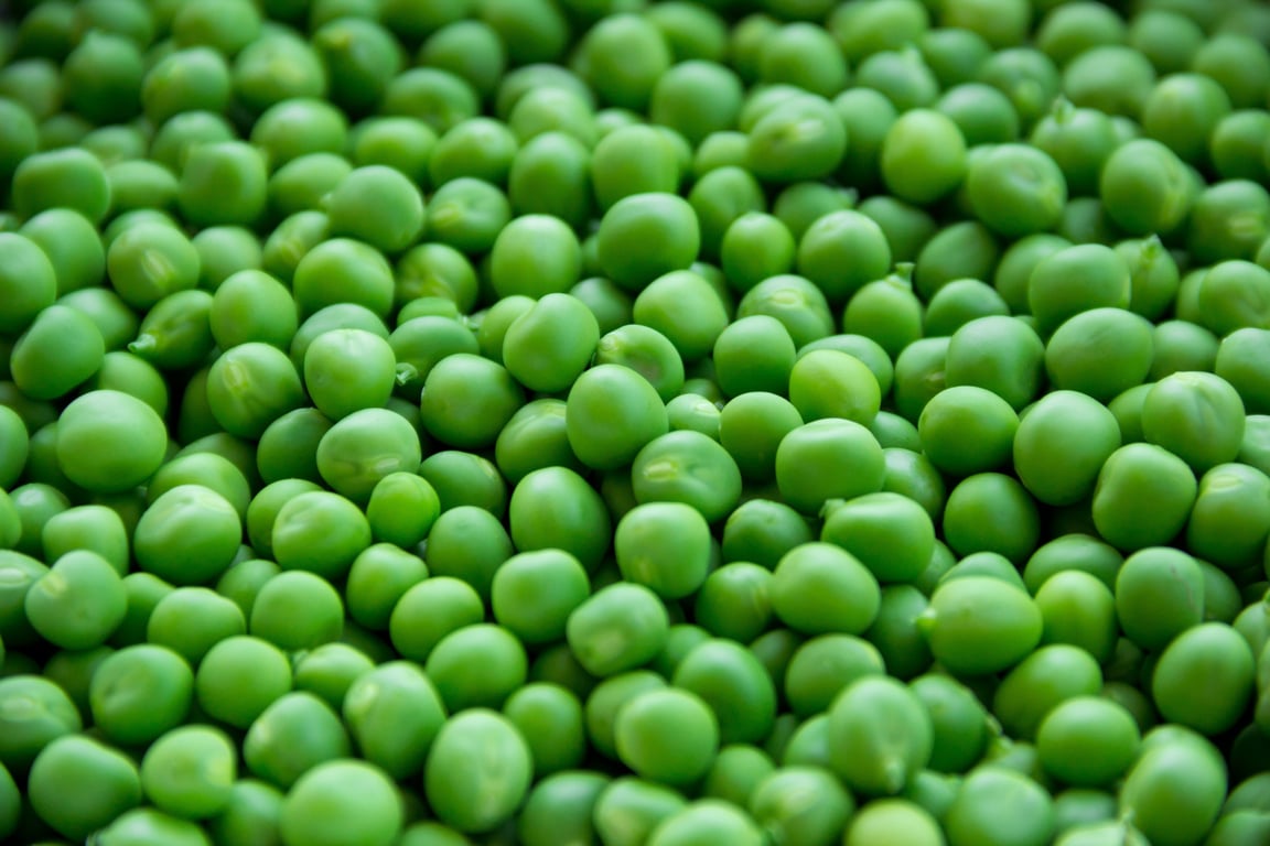 Hill's Science Diet Puppy Food