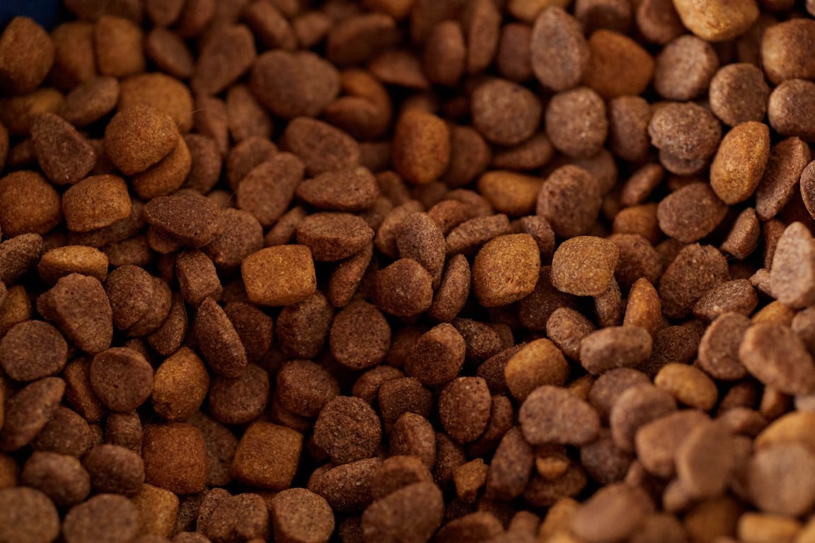 fish dog food kibble