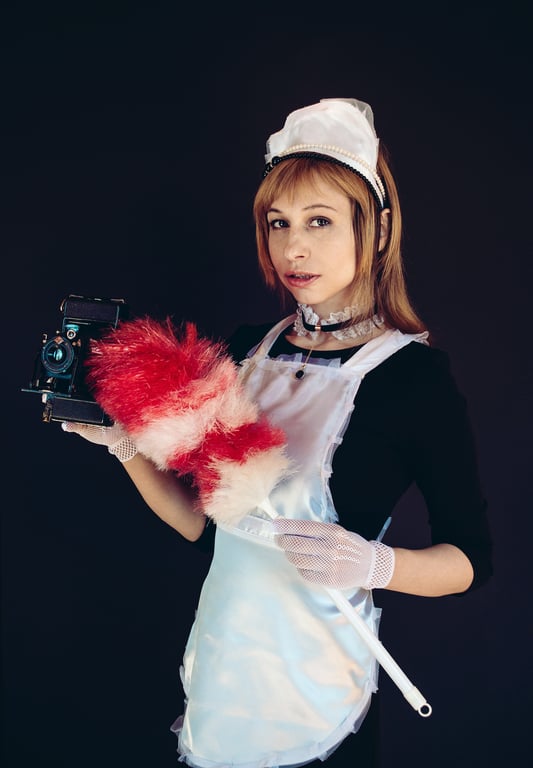 Molly Maid house cleaning