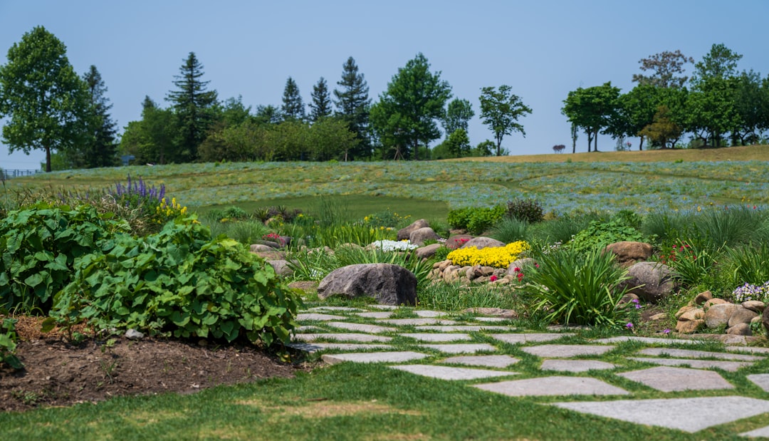 Hardscaping Near Me: How to Choose the Right Local Contractor for Your Outdoor Project