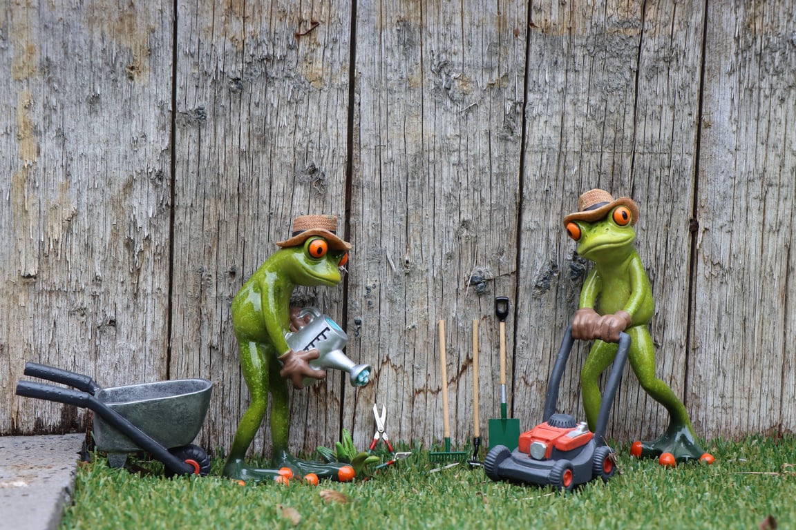 professional garden maintenance