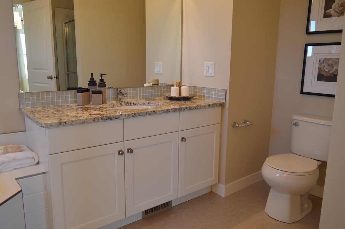 bathroom vanity and toilet