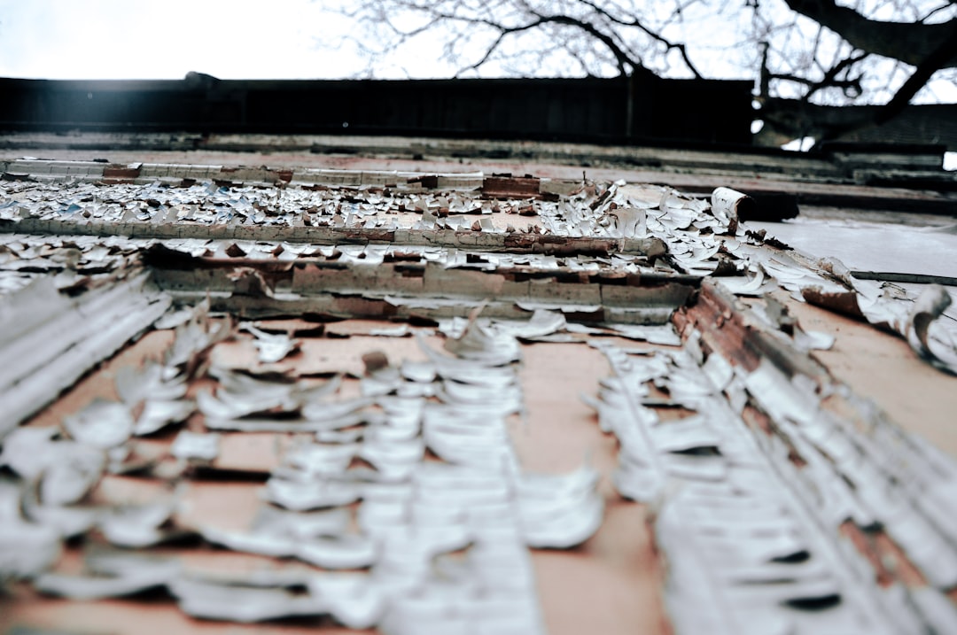 Hail Roofing: How to Spot Damage Before It Becomes a Leak