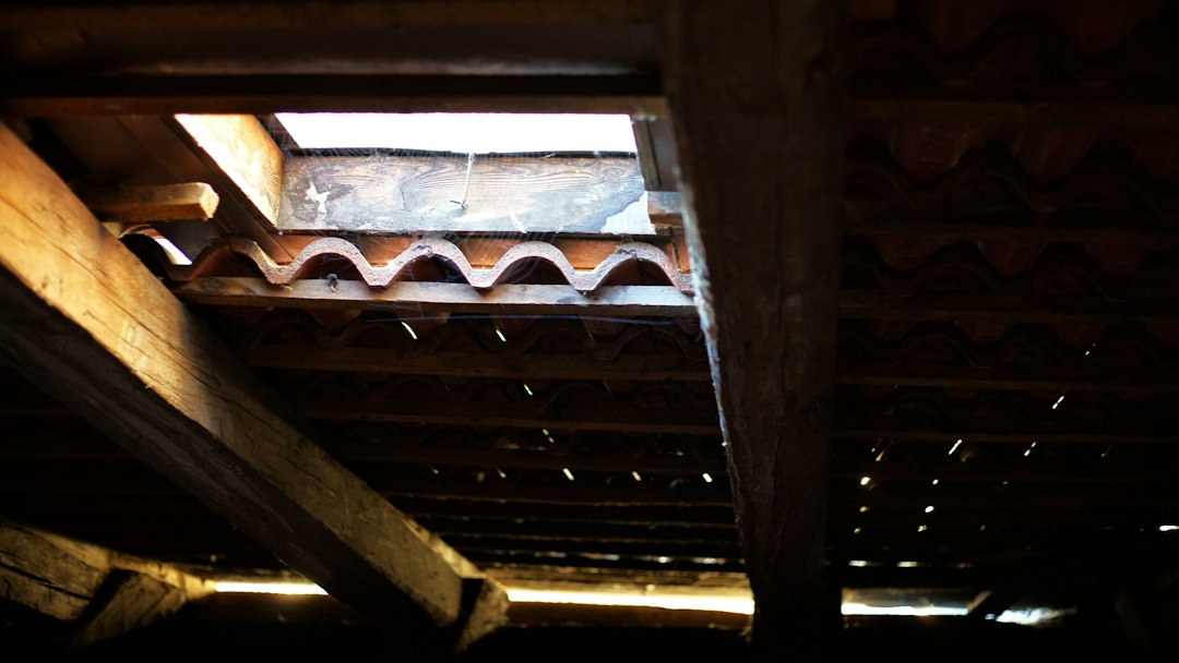 Rats in Attic Removal Cost: How to Compare Removal, Repairs, and Prevention