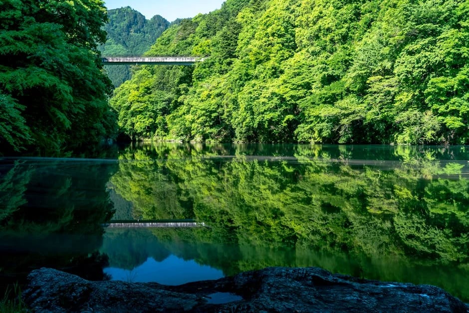 Image describing Top 7 Best Streaming Cameras 2026 Which Wins Now?