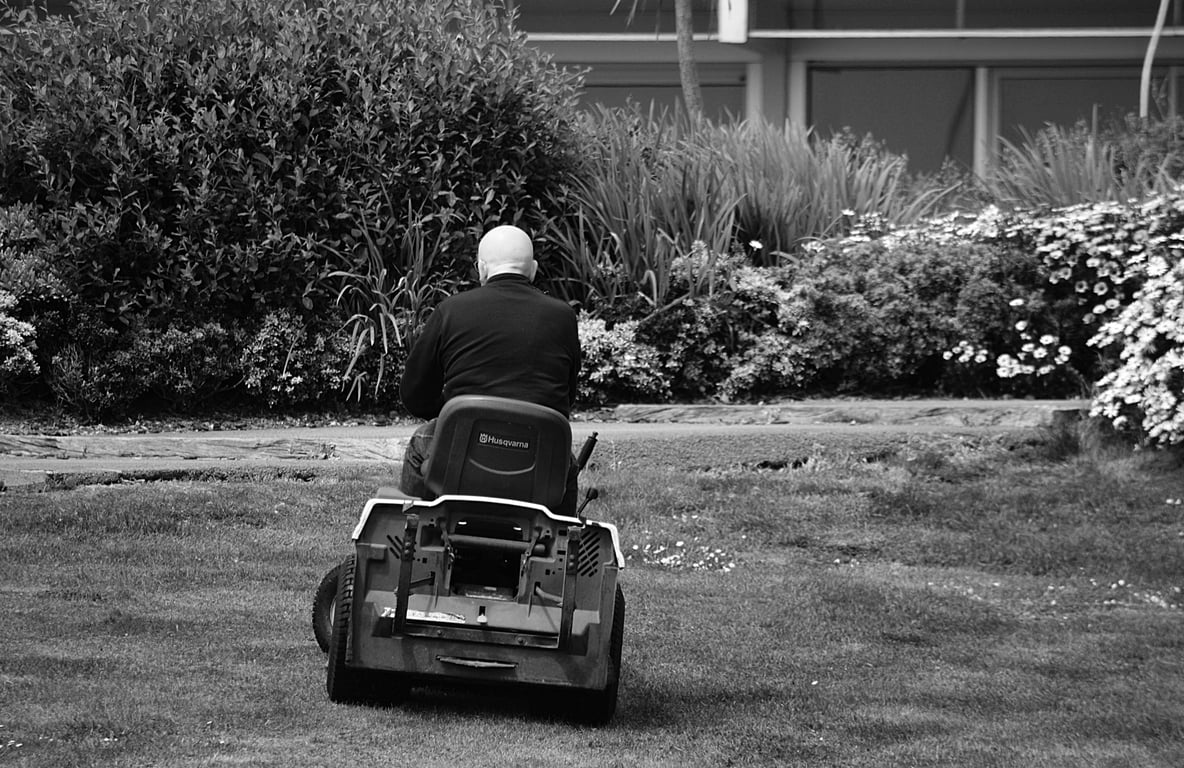 lawn mowing service