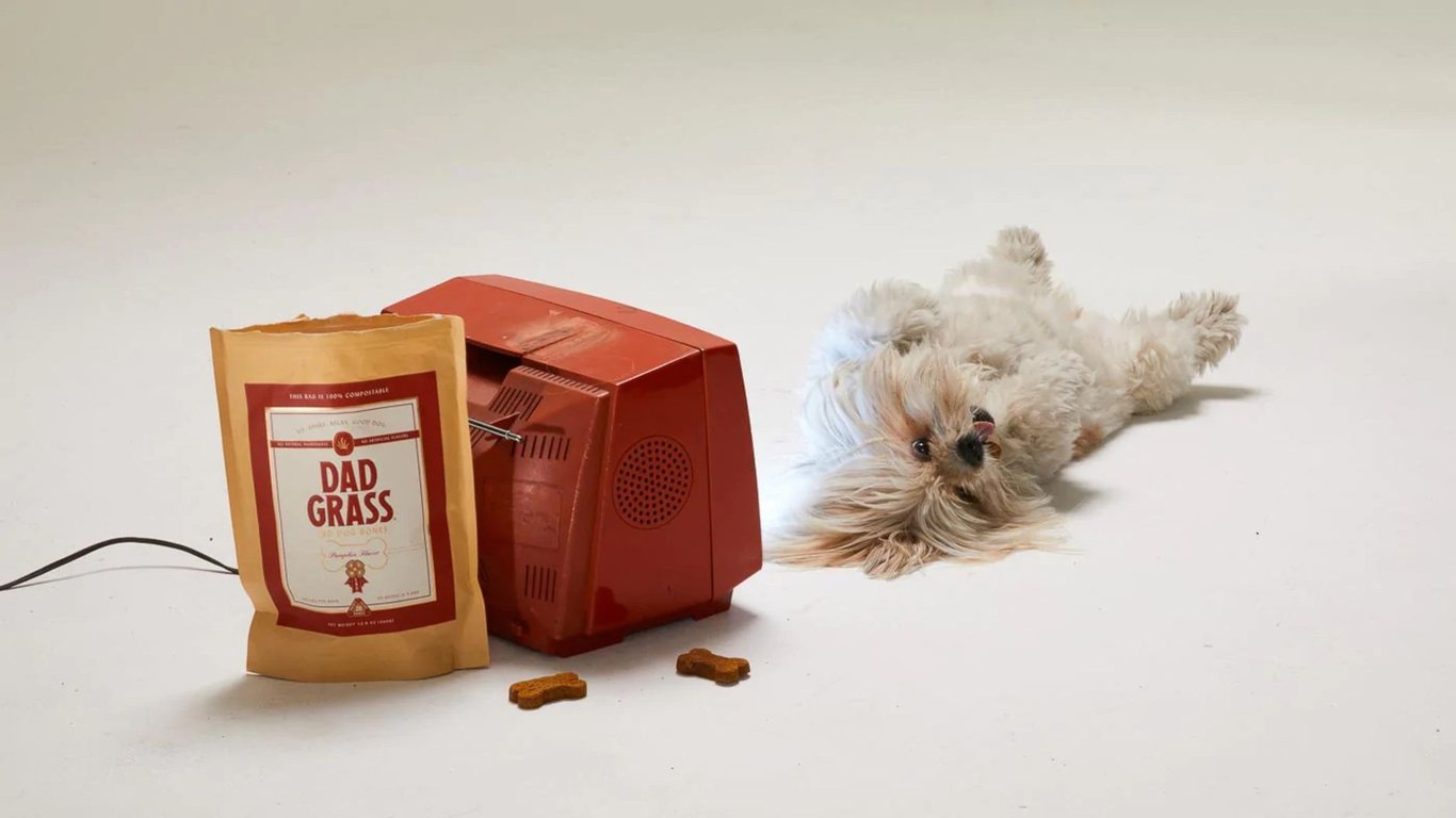 Dog Food Delivery: How to Choose a Service That Fits Your Dog and Budget