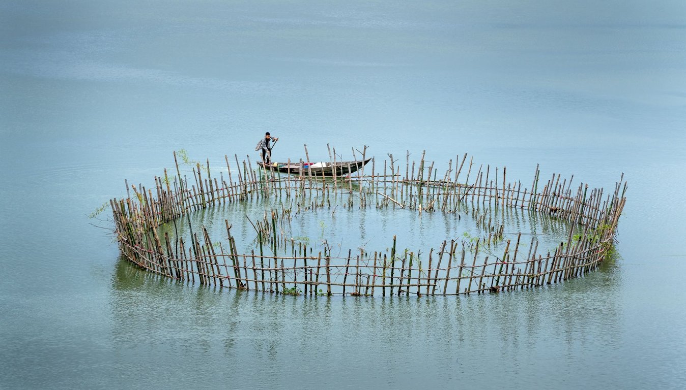 Fish Trap Guide: Choosing, Setting, and Using One Responsibly
